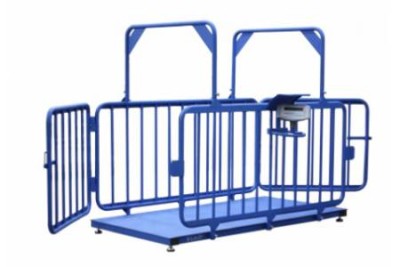 Весы для взвешивания животных - ВСП4-1000.2 Ж-1010