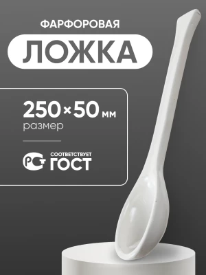 Ложка фарфоровая №4 (250 мм х 50 мм), ГОСТ 9147-80