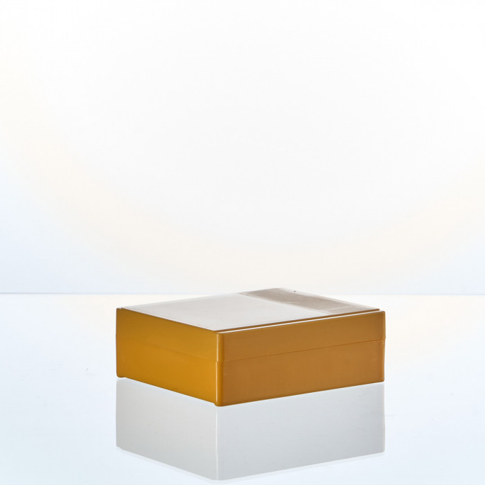 Штатив-бокс для предметных стекол на 25 шт, п/с, Greetmed