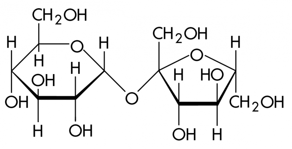 1 1 h 22 11 na. Сахароза структур формула. Сахароза структурная формула. Строение сахарозы формула. Сахароза формула химическая структура.