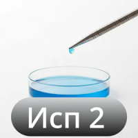 Исполнение 2