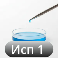 Исполнение 1